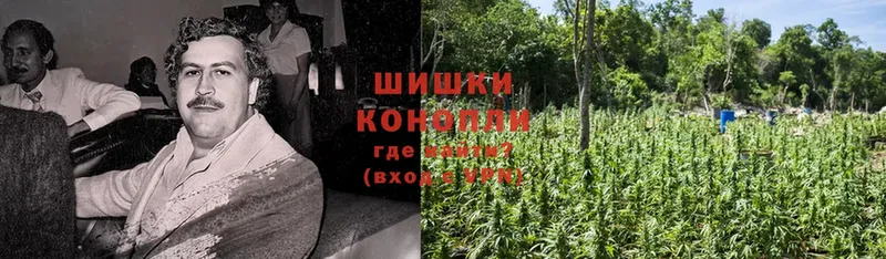 наркота  Макарьев  блэк спрут вход  Конопля LSD WEED 